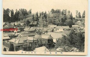 T9730●千葉 成田山全景【絵葉書】