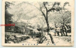 T0201●島根 出雲大社 祓橋付近【絵葉書】