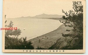 T9856●新潟 直江津海岸より米山【絵葉書】