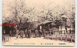 T4282●東京 靖国神社 桜と戦利砲【絵葉書】