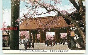 V6194●東京 靖国神社の桜【絵葉書】