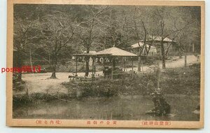 W5201●埼玉 宝登山神社 黄金の御池【絵葉書】