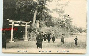 U4174●和歌山 新和歌浦 塩釜神社【絵葉書】