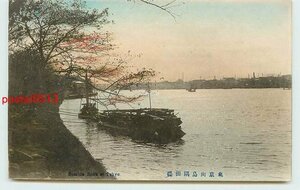 V9306●東京 手彩色 向島隅田堤【絵葉書】