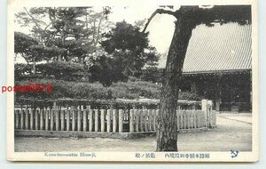 Xa4217●兵庫 姫路本願寺別院 亀居の松【絵葉書】