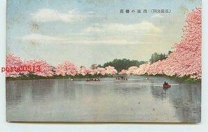 Xb5428●青森 弘前公園 西濠の桜【絵葉書】