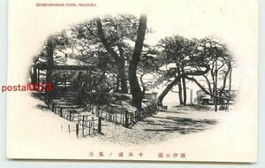 Xb3878●静岡 沼津公園 千本濱【絵葉書】