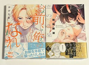 未読品セット　「お前俺のもんになれ」「誰も知らない恋の果て」かけたま