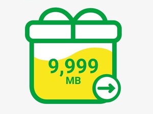 mineo my Neo packet gift approximately 10GB 9999MB