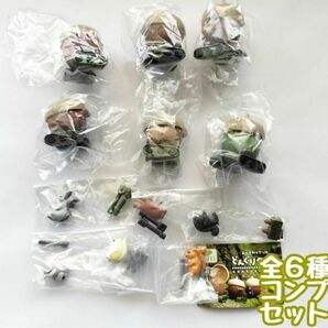 A-30　コンプ　どんぐりタンク　全6種セット　ガチャ　リス