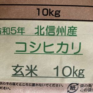 令和5年コシヒカリ 玄米10キロ北信州産 お米