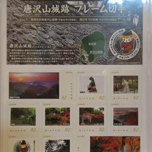 第24回 全国山城サミット in 佐野 開催記念 唐沢山城跡 フレーム切手 １シートの画像1