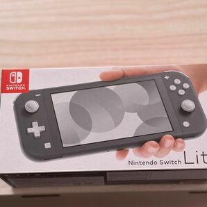 Nintendo Lite グレー