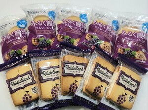 { cat pohs shipping free shipping } outlet factory direct sale milk . head & Raisin Sand 