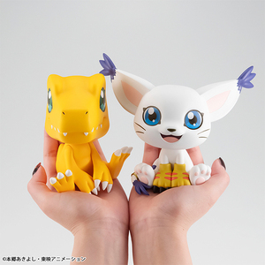 ru... digimon adventure Agumon & tail mon