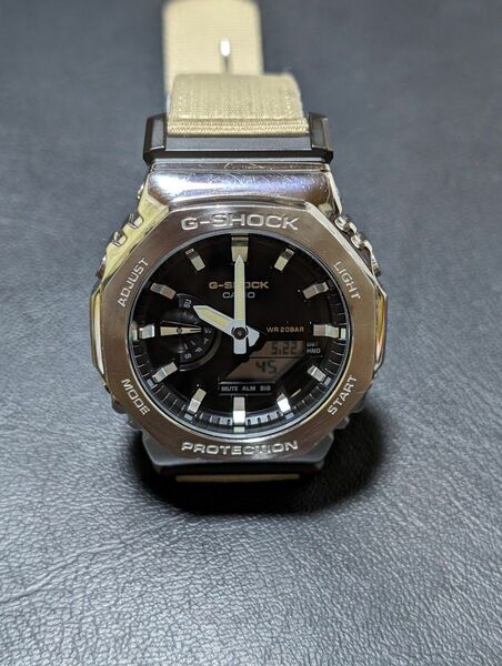 CASIO　gm2100c