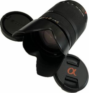 ★極上美品★ ソニー SONY DT 18-200mm F3.5-6.3 SAL18200 #13420893