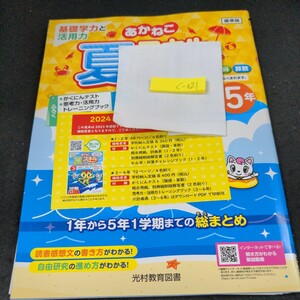 く-021 あかねこ 夏スキル 問題集 プリント 学習 ドリル 小学生 国語 算数 英語 社会 理科 テキスト テスト用紙 教材 文章問題 計算※11