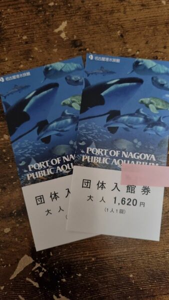 名古屋港水族館 入場券 ネコポス発送 2枚