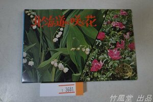 1-3681【絵葉書】北海道に咲く花 12枚袋