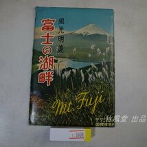 1-3809【絵葉書】富士の湖畔 8枚袋_画像1