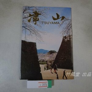 1-3975[ picture postcard ] Tsu mountain 11 sheets sack 