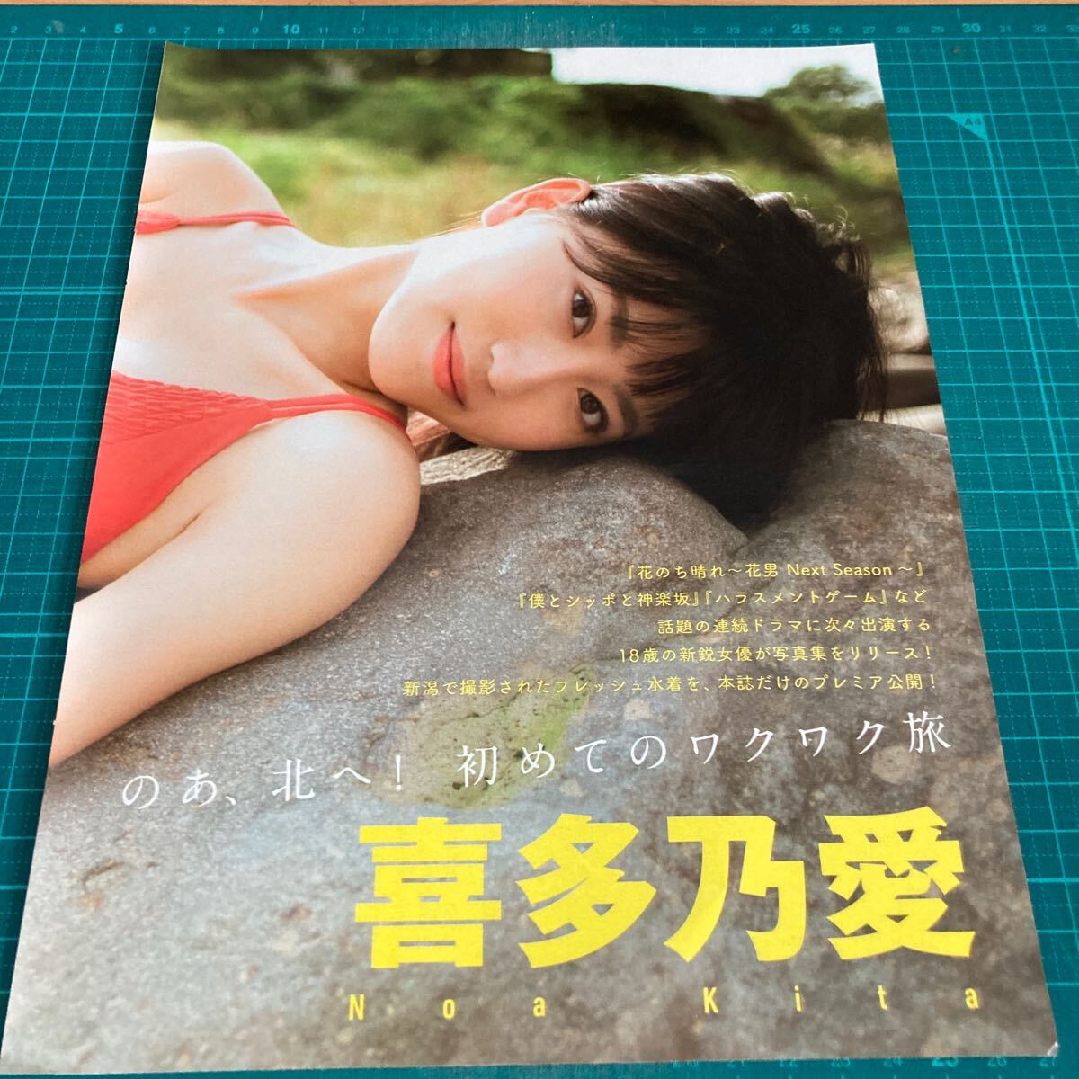 2025年最新】Yahoo!オークション -喜多乃愛の中古品・新品・未 2025年最新】Yahoo!オークション -喜多乃愛の中古品・新品・未