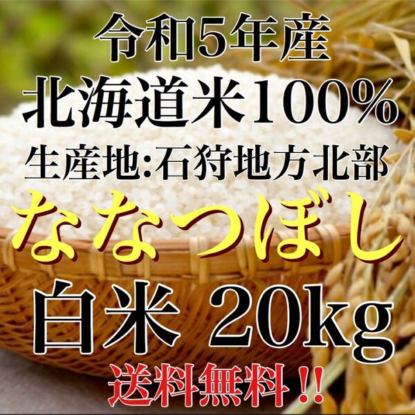 令和5年度産北海道米100%ななつぼし白米20キロ