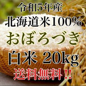 令和5年度産北海道米100%おぼろづき白米20kg