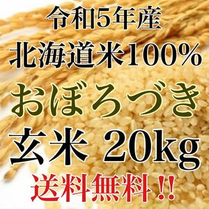 令和5年度産北海道米100%おぼろづき玄米20kg