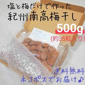 【お試し500g】紀州南高梅 梅干し