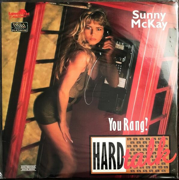 SUNNY MCKAY HARD TALK 輸入盤 NTSC LD レーザーディスク