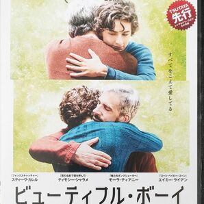 ビューティフル・ボーイ レンタル落ちDVD