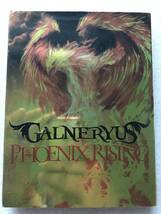 【 邦楽 中古 CD ＋ DVD 】GALNERYUS ガルネリウス PHOENIX RISING セル版 他多数出品中_画像1