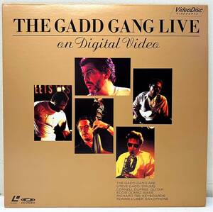 AE17405▲美品 THE GADD GANG LIVE/on digital video LD レーザーディスク ガッドギャング/スティーヴガッド/エディゴメス他