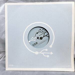 【08】レコード SUSUMU YOKOTA / ARM EP　Right arm/ Left arm　U.S.B002-6