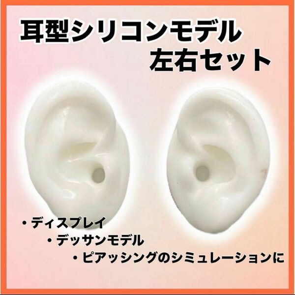 耳型模型　シリコン　左右両耳セット　ピアス　ディスプレイ　練習用　モデル　ホワイト　白 両耳
