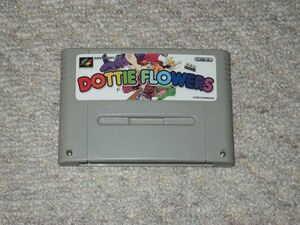 ドッティーフラワーズ DOTTIE FLOWERS