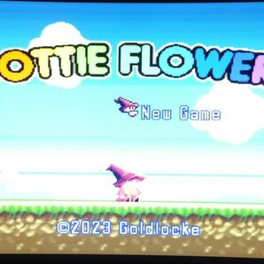 ドッティーフラワーズ DOTTIE FLOWERSの画像3