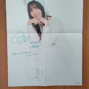 日向坂46 H46MODE showroom配信特典 小坂菜緒ポスター