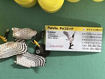Furuta チョコエッグ 動物シリーズ 鳥編　全２０種＋シークレット_画像1