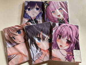  Dakimakura cover 5 pieces set ②