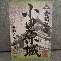 ◆小田原城御城印＜藤バージョン2024＞ 令和六年五月 神奈川県/藤の花/藤棚/小田原城址公園/限定_画像1