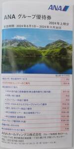 ANAグループ優待券 株主優待券 冊子 2024年11月まで 全日空