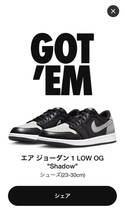 29cm US11 NIKE AIR JORDAN 1 LOW OG CZ0790-003 Shadow_画像2