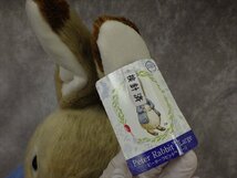 C2 タグ付き ラージサイズ 約55cm PETER RABBIT ピーターラビット 大きい ぬいぐるみ 人形 ブランドロイヤルティジャパン 玩具_画像7