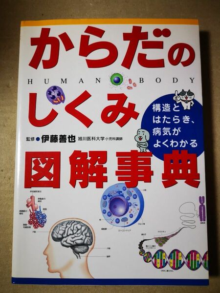 ■からだのしくみ図解事典　構造とはたらき、病気がよくわかる 伊藤善也／監修■2405025-108