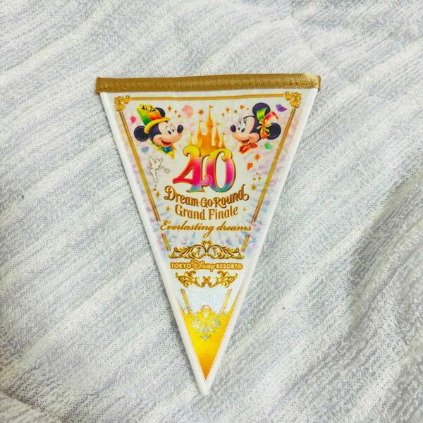 【週末お値下げ中！！】東京 ディズニーランド ドリームガーランド　グランドフィナーレ　40周年