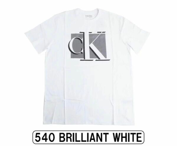 カルバンクライン　グラフィックTシャツ　ロゴTee ホワイト　白　L