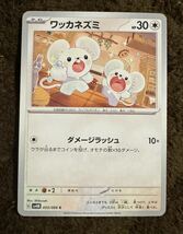 【美品】ポケモンカード ワッカネズミ C（sv4M 055/066）たね ダメージラッシュ 未来の一閃 1枚（在庫１２枚）_画像1